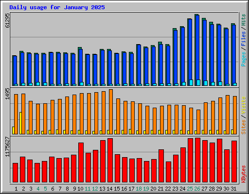 Daily usage for January 2025
