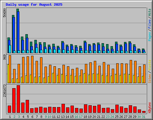 Daily usage for August 2025