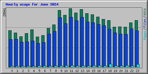 Hourly usage for June 2024