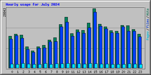 Hourly usage for July 2024