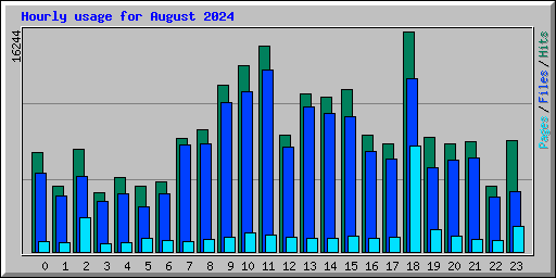 Hourly usage for August 2024