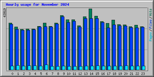 Hourly usage for November 2024