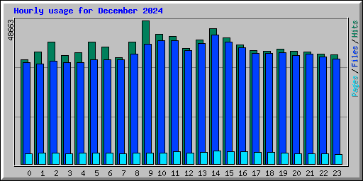 Hourly usage for December 2024