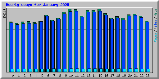 Hourly usage for January 2025