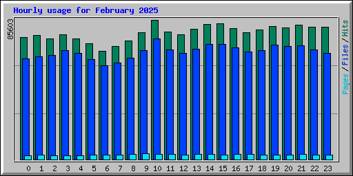 Hourly usage for February 2025