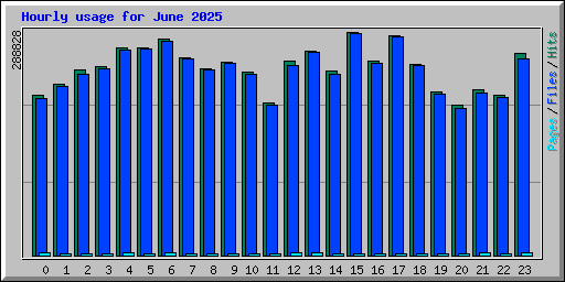 Hourly usage for June 2025