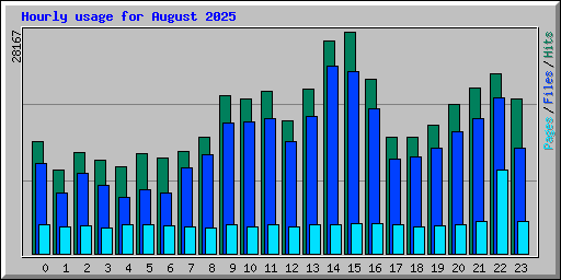 Hourly usage for August 2025