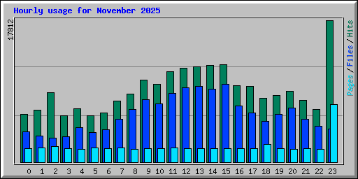 Hourly usage for November 2025