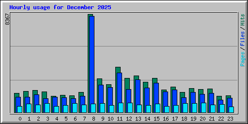 Hourly usage for December 2025