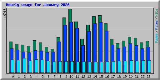 Hourly usage for January 2026